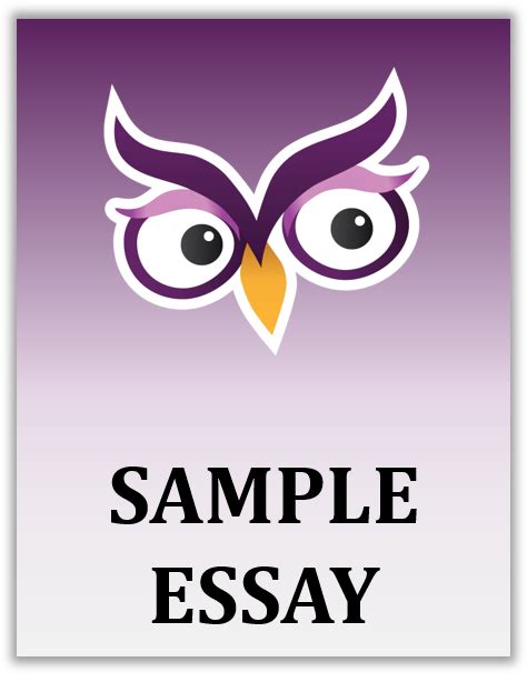 argumentative essay owl excelsior